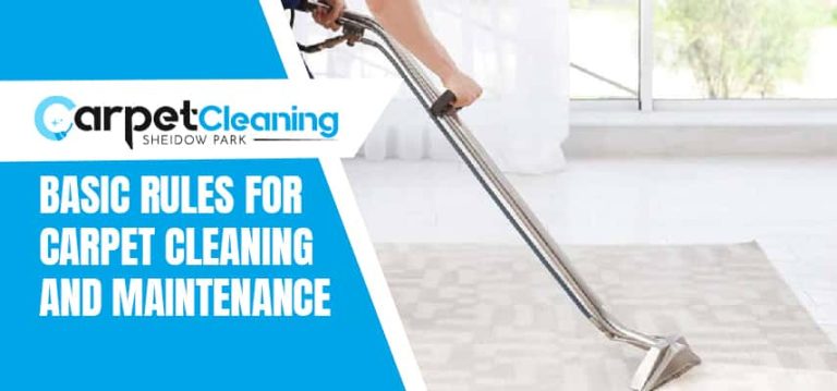 Carpet Cleaning and Maintenance